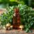 Olejek z oregano – naturalny sposób na skuteczną walkę z grzybicą
